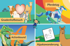 Das Cover des Flyers des Sommerferienprogramms zeigt Illustrationen zu vier Aktionen 