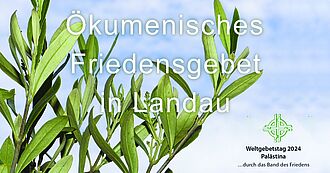 Bild eines Olivenbaumzweiges mit der Textinformation über das Friedensgebet