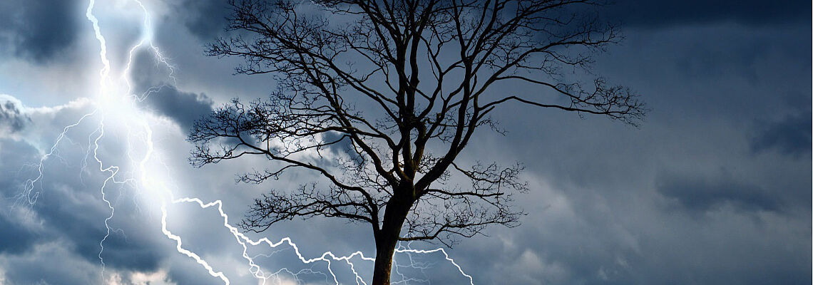 Baum ohne Blätter vor stürmischem Himmel 