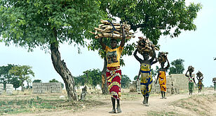 Foto von Albrecht Ebertshäuser, welches sechs Frauen in Nigeria beim Tragen von Hölzern auf dem Kopf zeigt