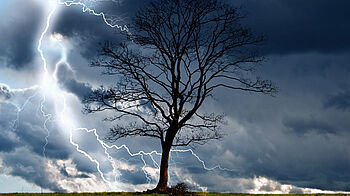 Blattloser Baum vor stürmischem Himmel